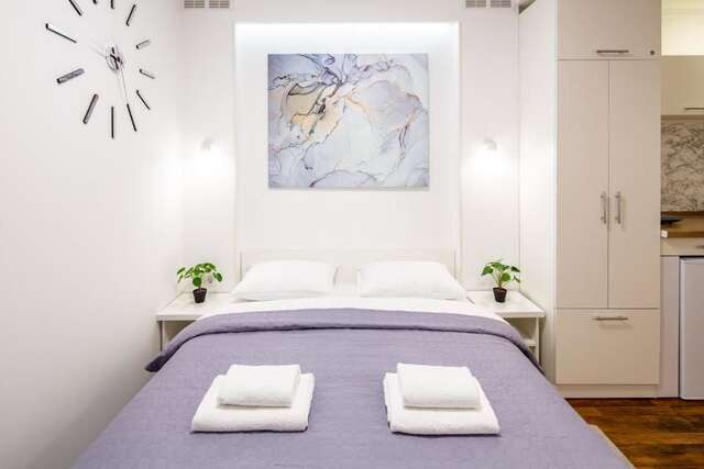 Апартаменты Cozy apartments center Львов-23